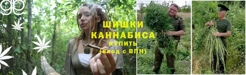 Шишки марихуана планчик  как найти   Кингисепп 